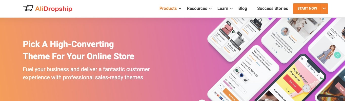 a screenshot showing why it's a great idea to use themes by AliDropship