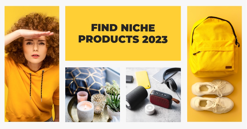 a cover of the article on how to find niche products